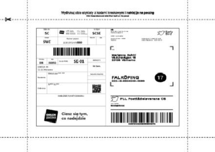 Vinted: ile trwa wysyłka przez Orlen? Terminy nadania paczki